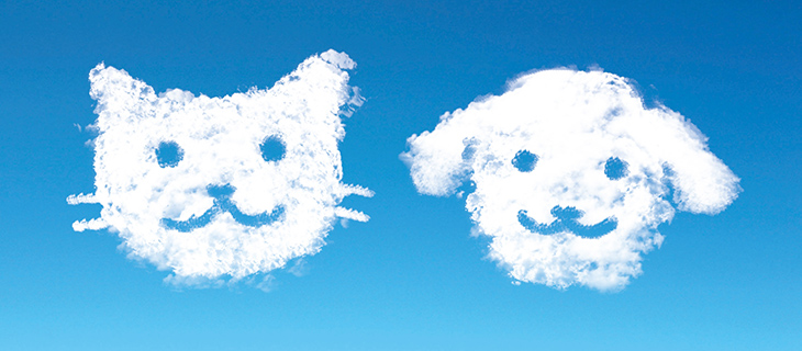 特長1:地域のかかりつけ医